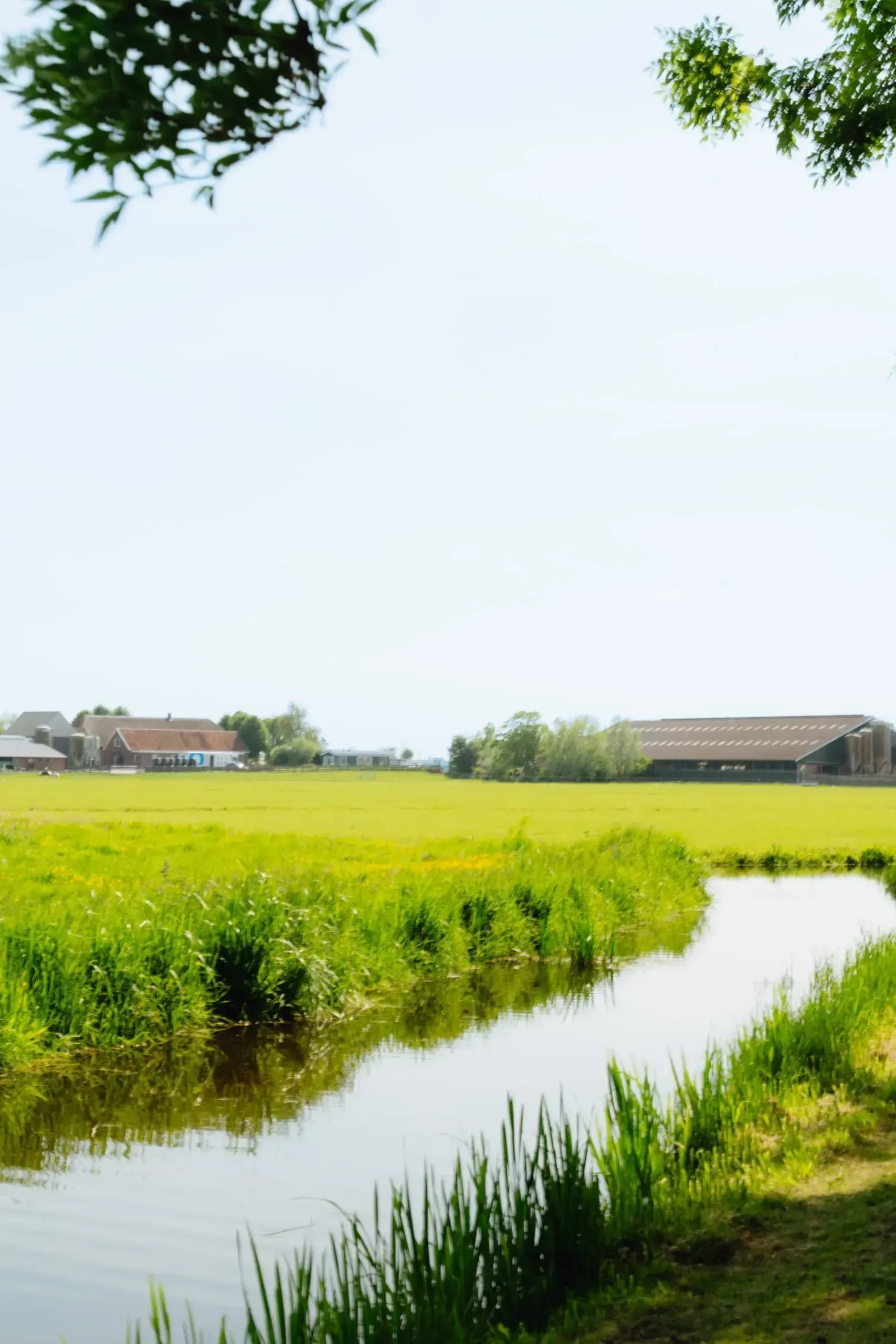 A canal running through green farmland