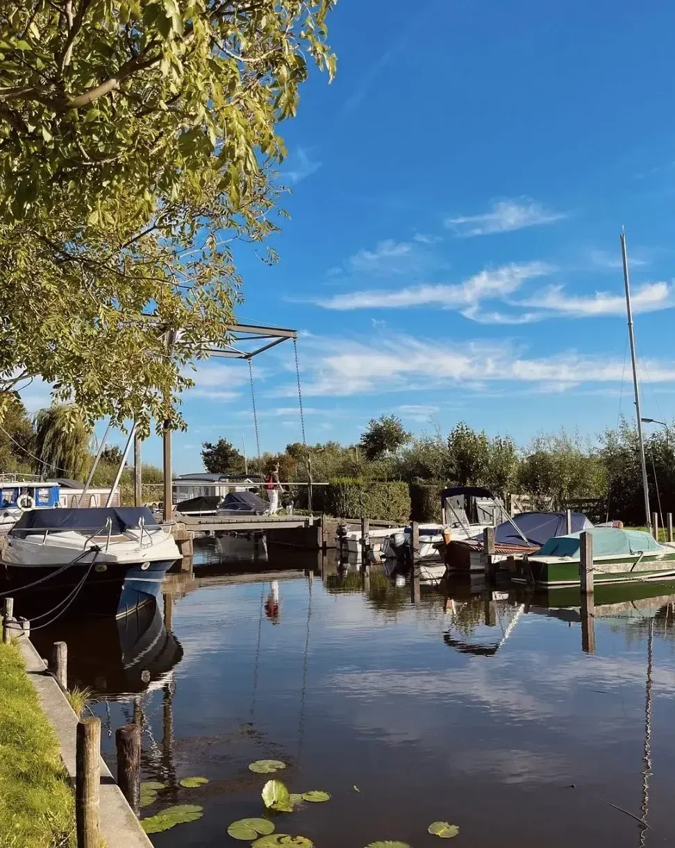 Boats moored in the small harbour