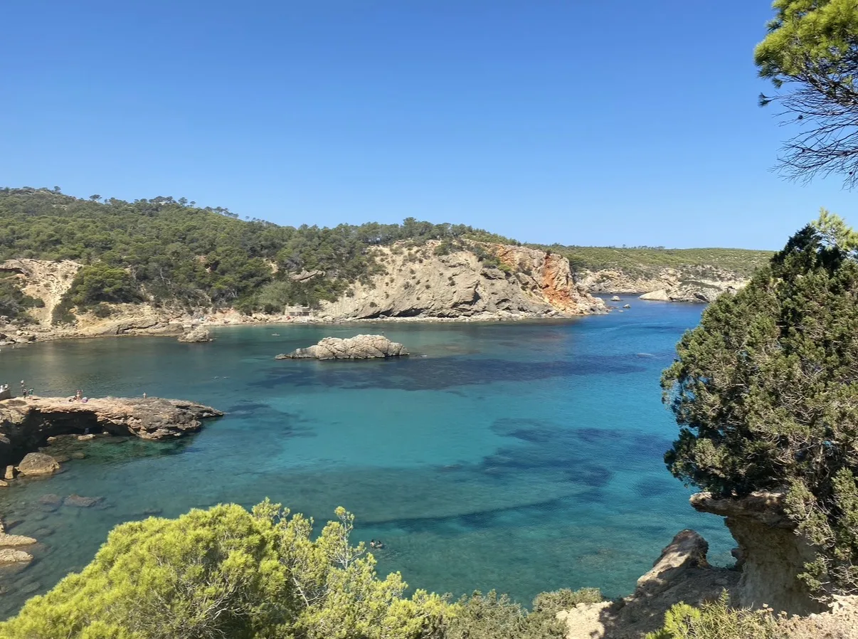 Screenshot – something is taking root in ibiza