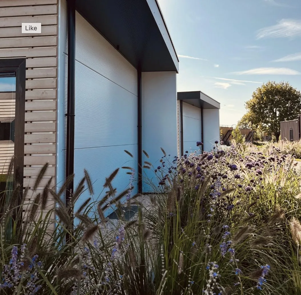 Young hotels  kaag