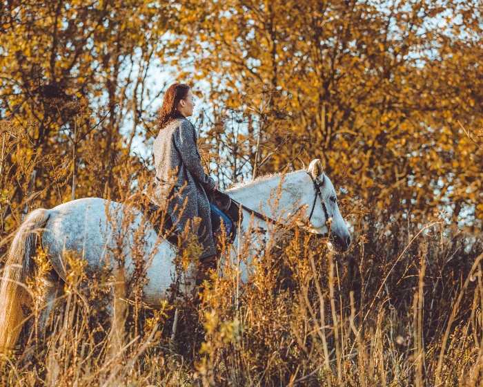 Young hotels experience horseriding
